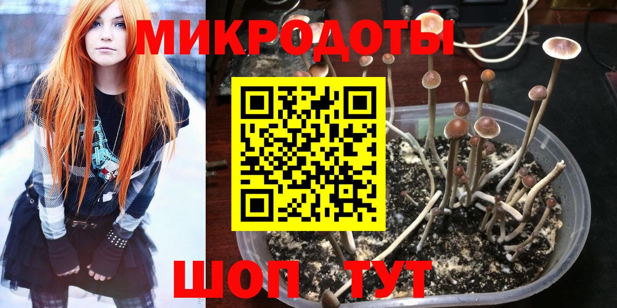 где продают   Галлюциногенные грибы MAGIC MUSHROOMS  Галлюциногенные грибы MAGIC MUSHROOMS  Вход с VPN  Верхний Уфалей 
